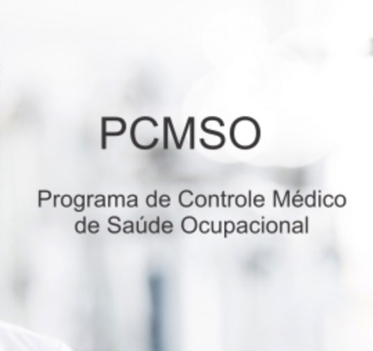 As empresas Desobrigadas da Elaboração do PCMSO